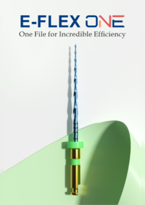 E-Flex One | One File for Incredible Efficiency | Orikam