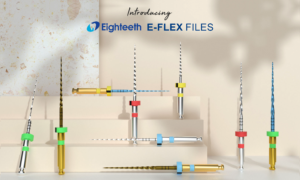 E-flex Endo File | Eighteeth | Orikam